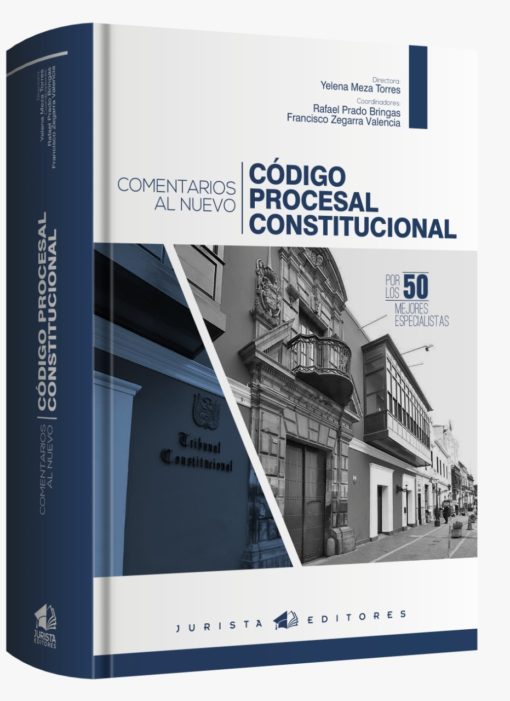 Comentarios al nuevo código procesal constitucional