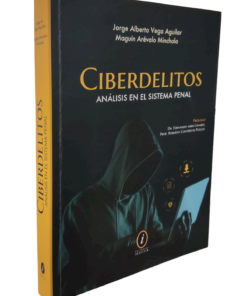 Ciberdelitos