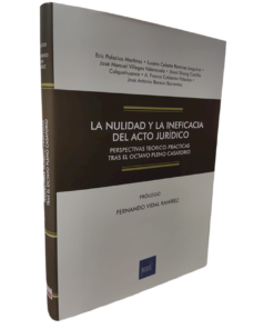 La nulidad y la ineficacia del acto jurídico