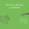 Derecho, derechos y pandemia