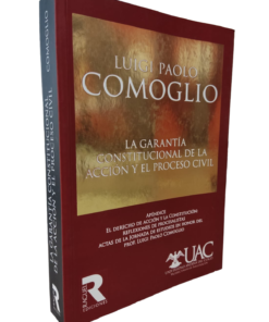 La garantía constitucional de la acción y el proceso civil