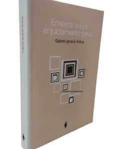 Ensayos sobre enjuiciamiento penañ