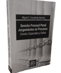 Derecho procesal penal juzgamiento en procesos