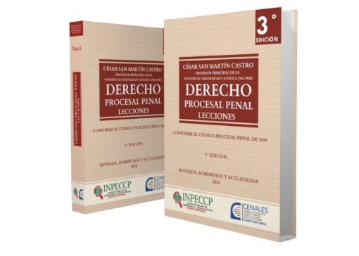 Derecho procesal penal - Lecciones