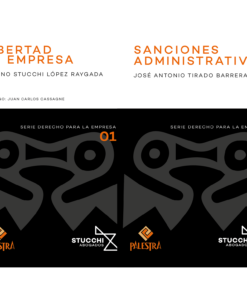 Serie derecho para la empresa